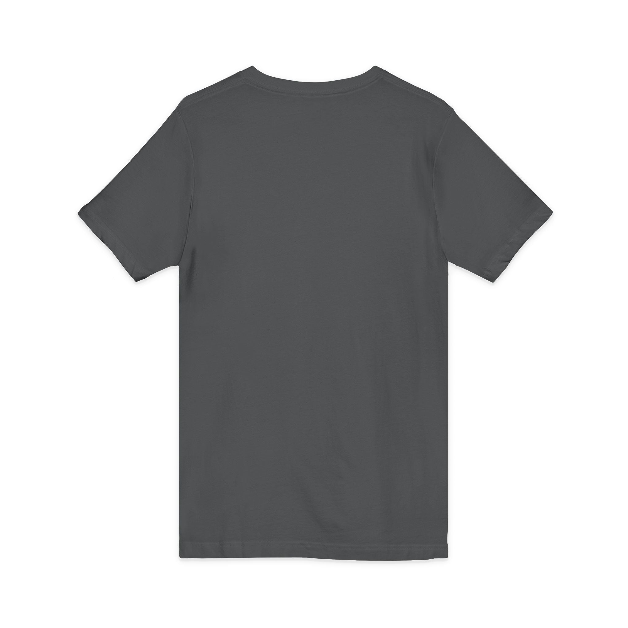 Colorful Donkey V-Neck Tee — Whimsical Farm Animal Graphic Shirt