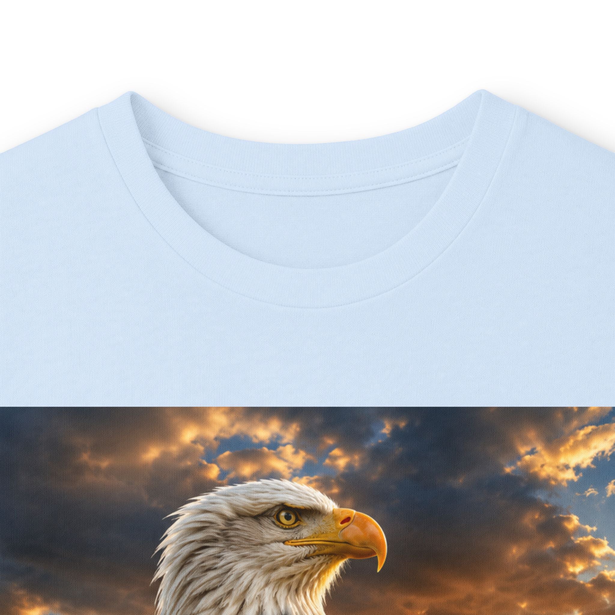 Eagle Sunset Long Sleeve Tee
