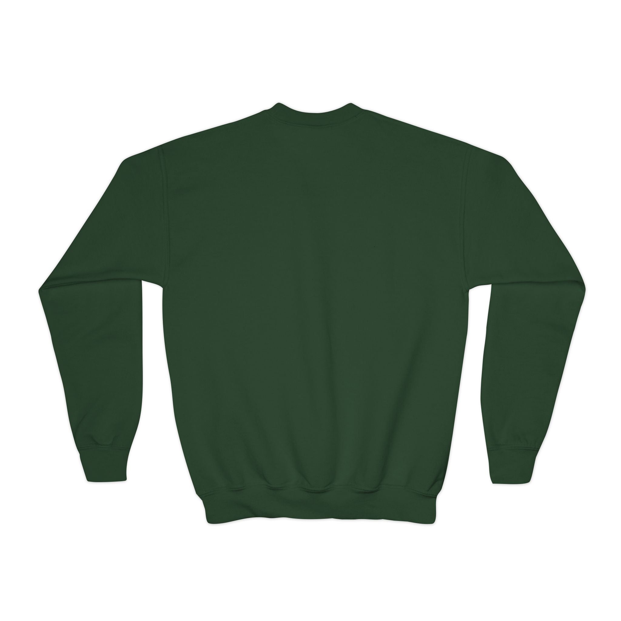 Youth Halloween Sweatshirt — "Trick or Treatasaurus" Dino Pumpkin Crewneck