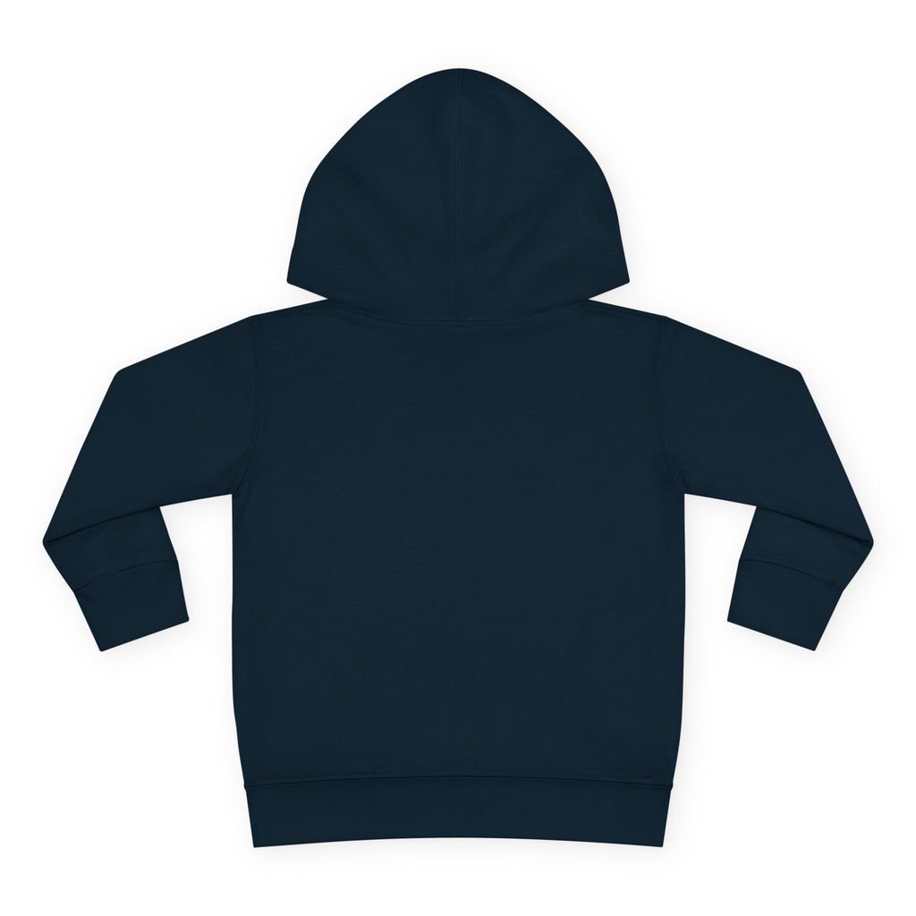 Toddler Hoodie — Colorful Peace Dinosaurs Graphic Pullover