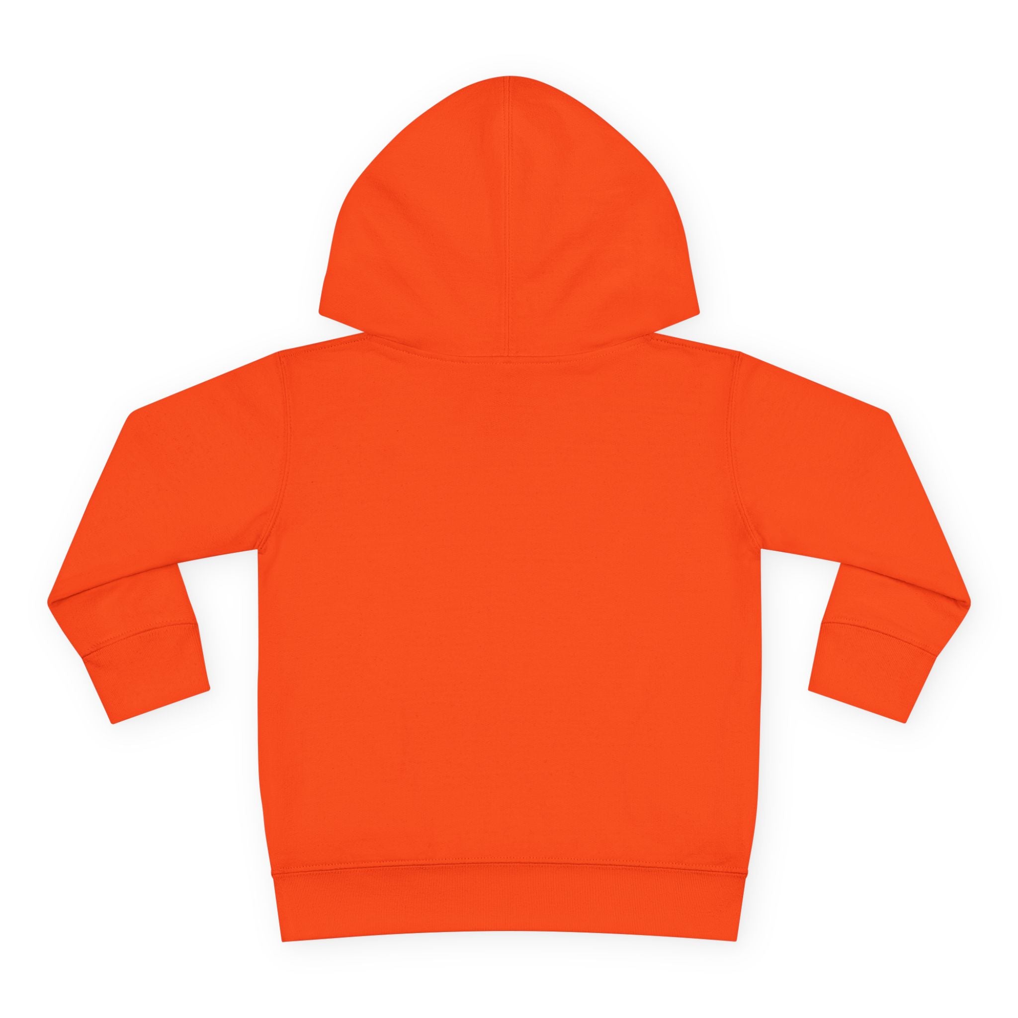 Toddler Hoodie — Colorful Peace Dinosaurs Graphic Pullover