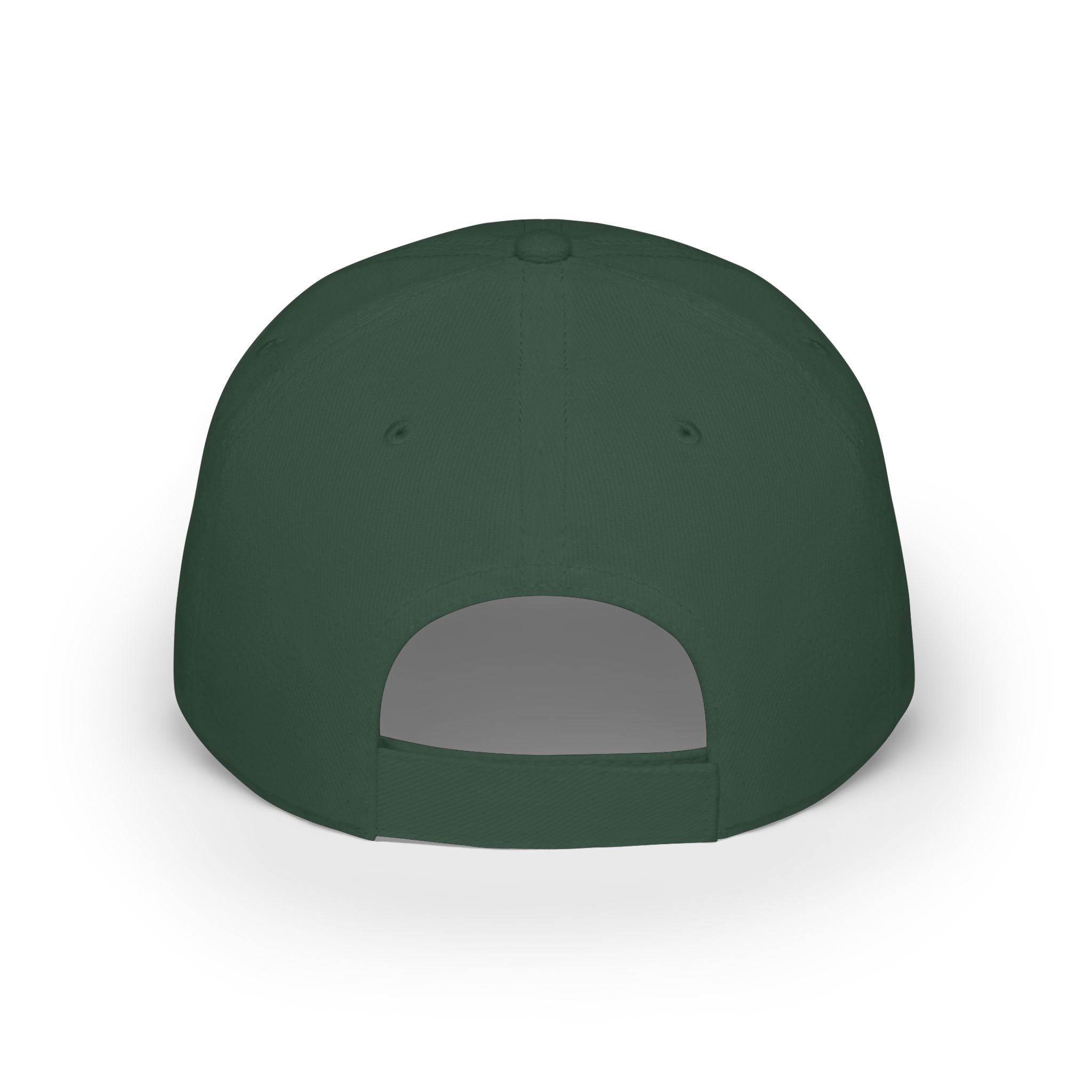 Low Profile Baseball Cap - "Disagreement is Not Disrespect" Embroidered Message Hat
