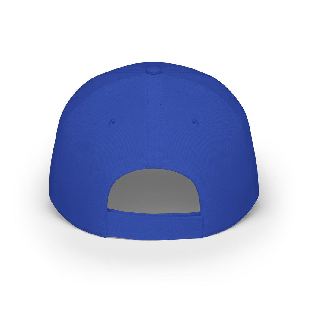 Low Profile Baseball Cap - "Disagreement is Not Disrespect" Embroidered Message Hat