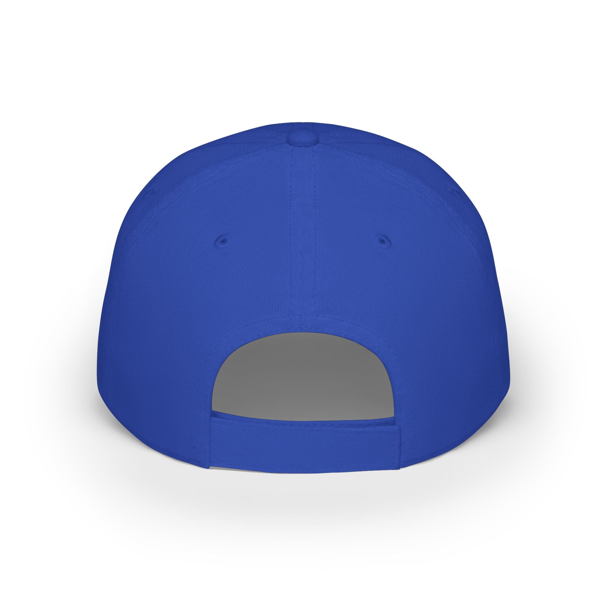 Low Profile Baseball Cap - "Disagreement is Not Disrespect" Embroidered Message Hat