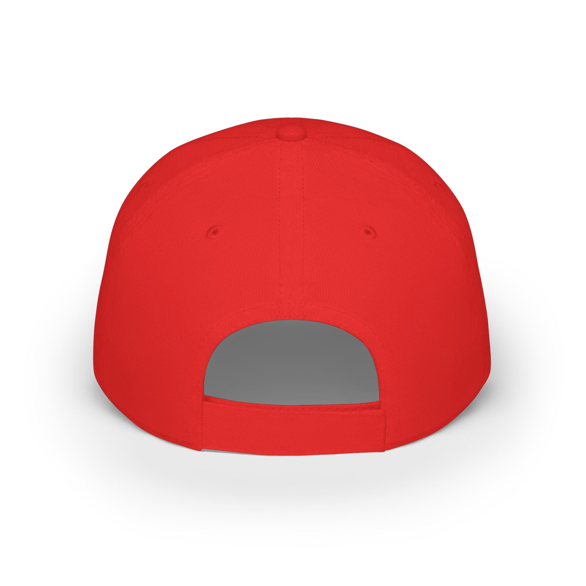 Low Profile Baseball Cap - "Disagreement is Not Disrespect" Embroidered Message Hat