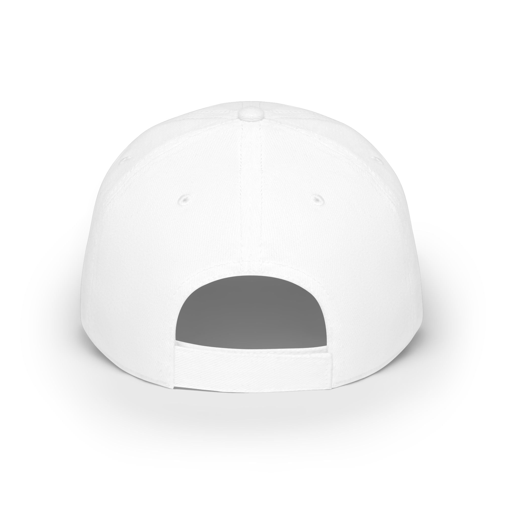 Low Profile Baseball Cap - "Disagreement is Not Disrespect" Embroidered Message Hat