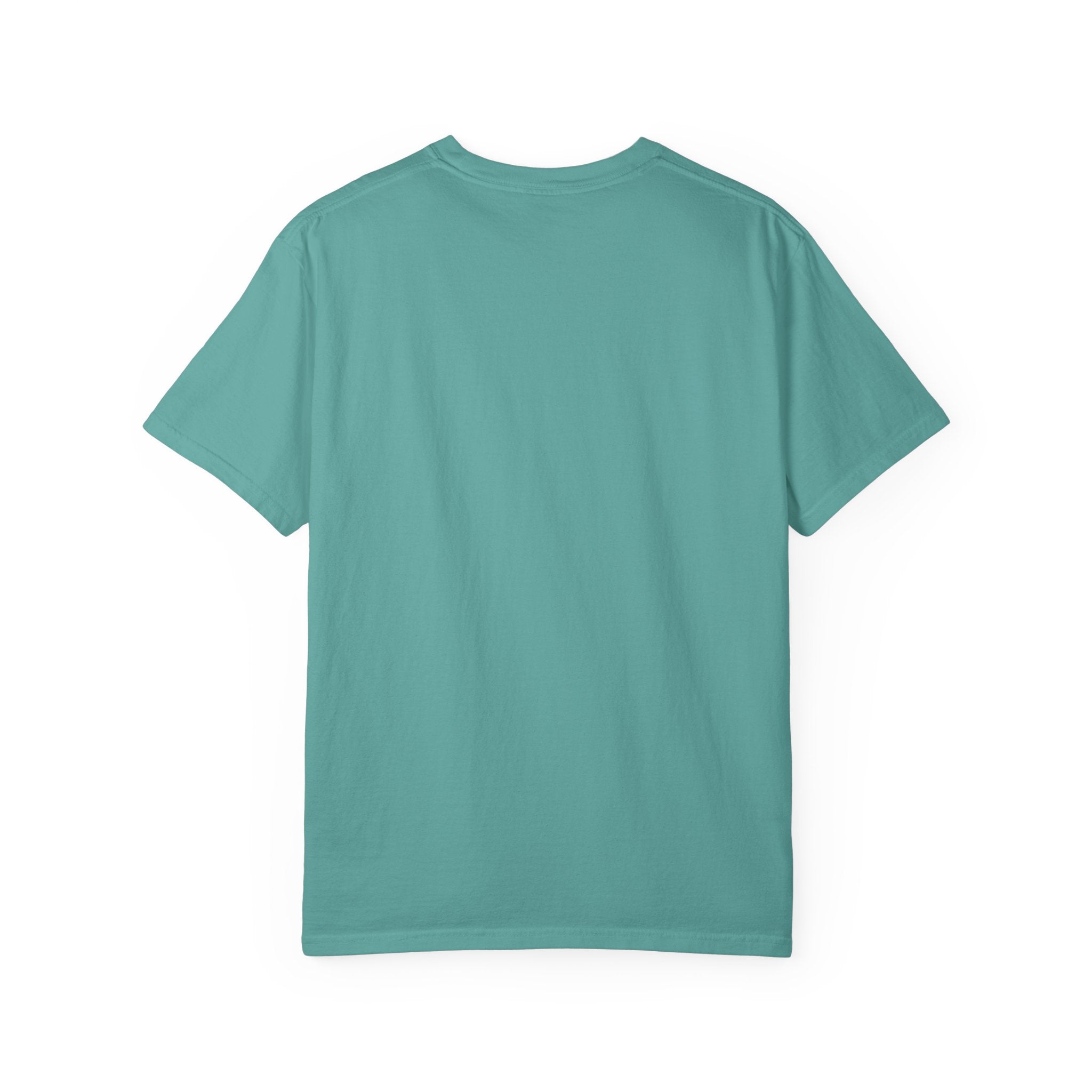 Fireworks Celebration T-Shirt — Red, White & Blue Festival Graphic