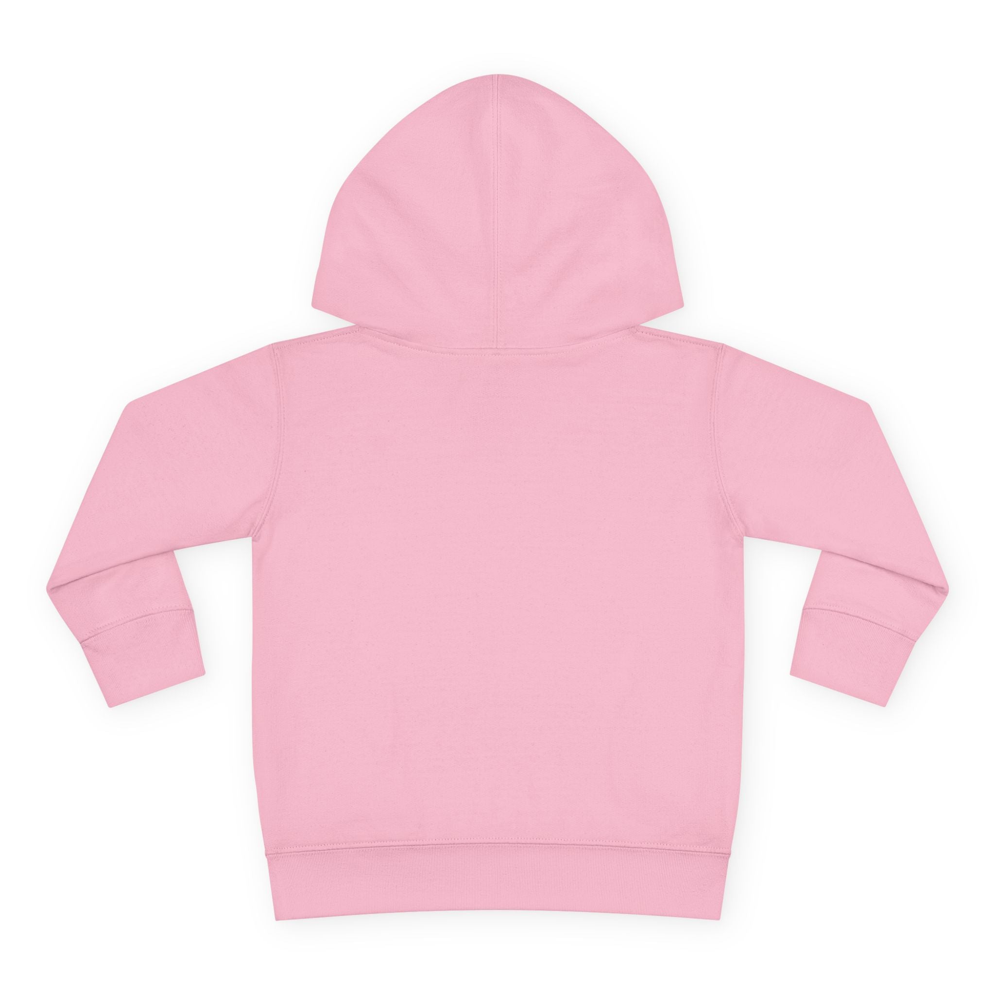Toddler Hoodie — Colorful Peace Dinosaurs Graphic Pullover
