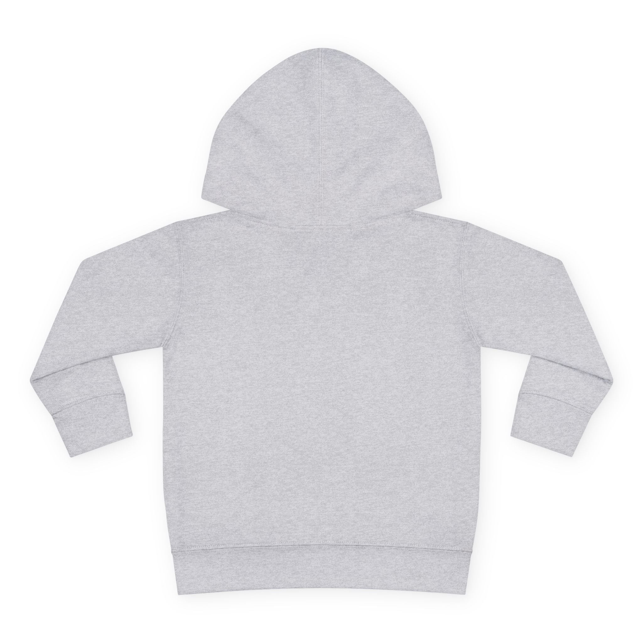 Toddler Hoodie — Colorful Peace Dinosaurs Graphic Pullover