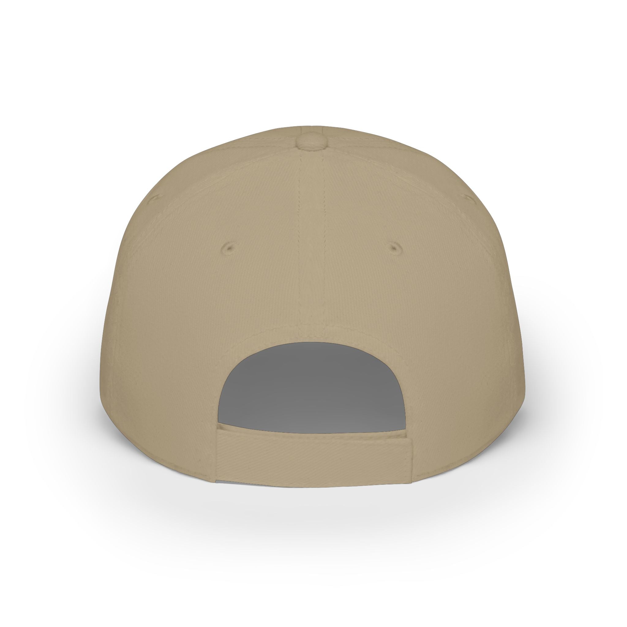 Low Profile Baseball Cap - "Disagreement is Not Disrespect" Embroidered Message Hat