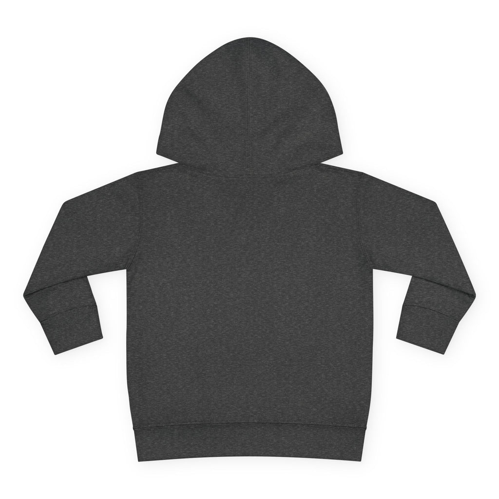Toddler Hoodie — Colorful Peace Dinosaurs Graphic Pullover