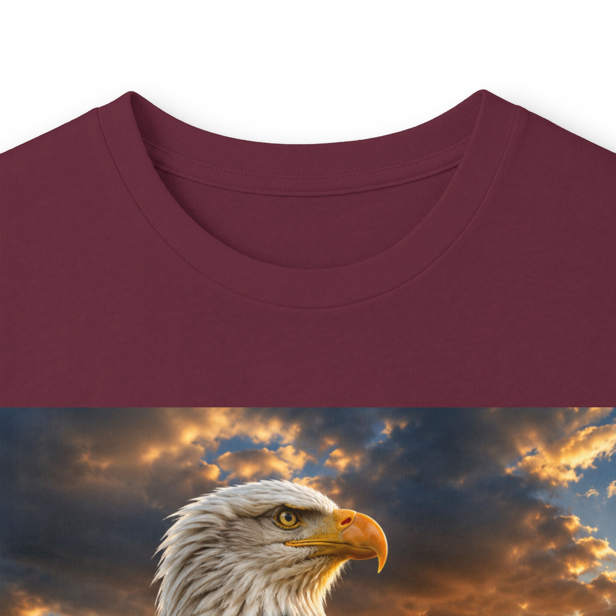 Eagle Sunset Long Sleeve Tee