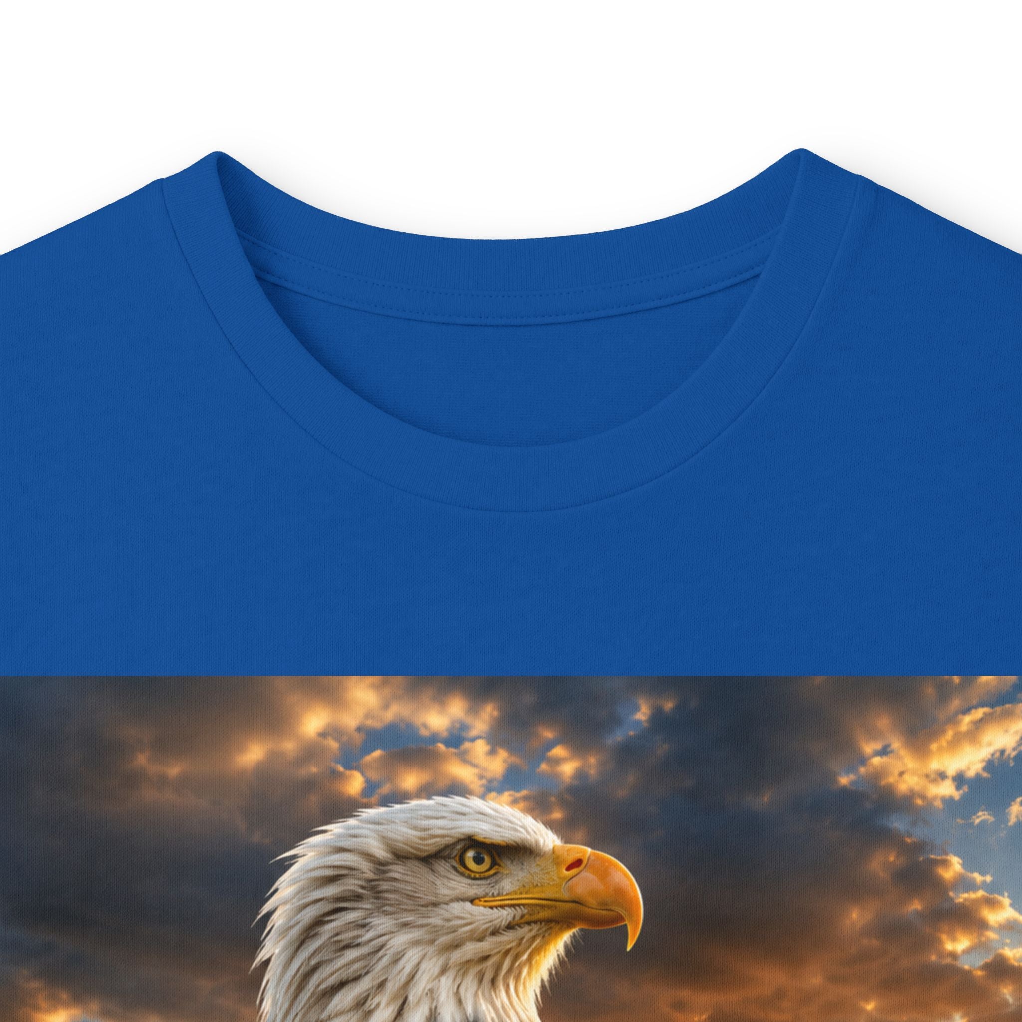 Eagle Sunset Long Sleeve Tee
