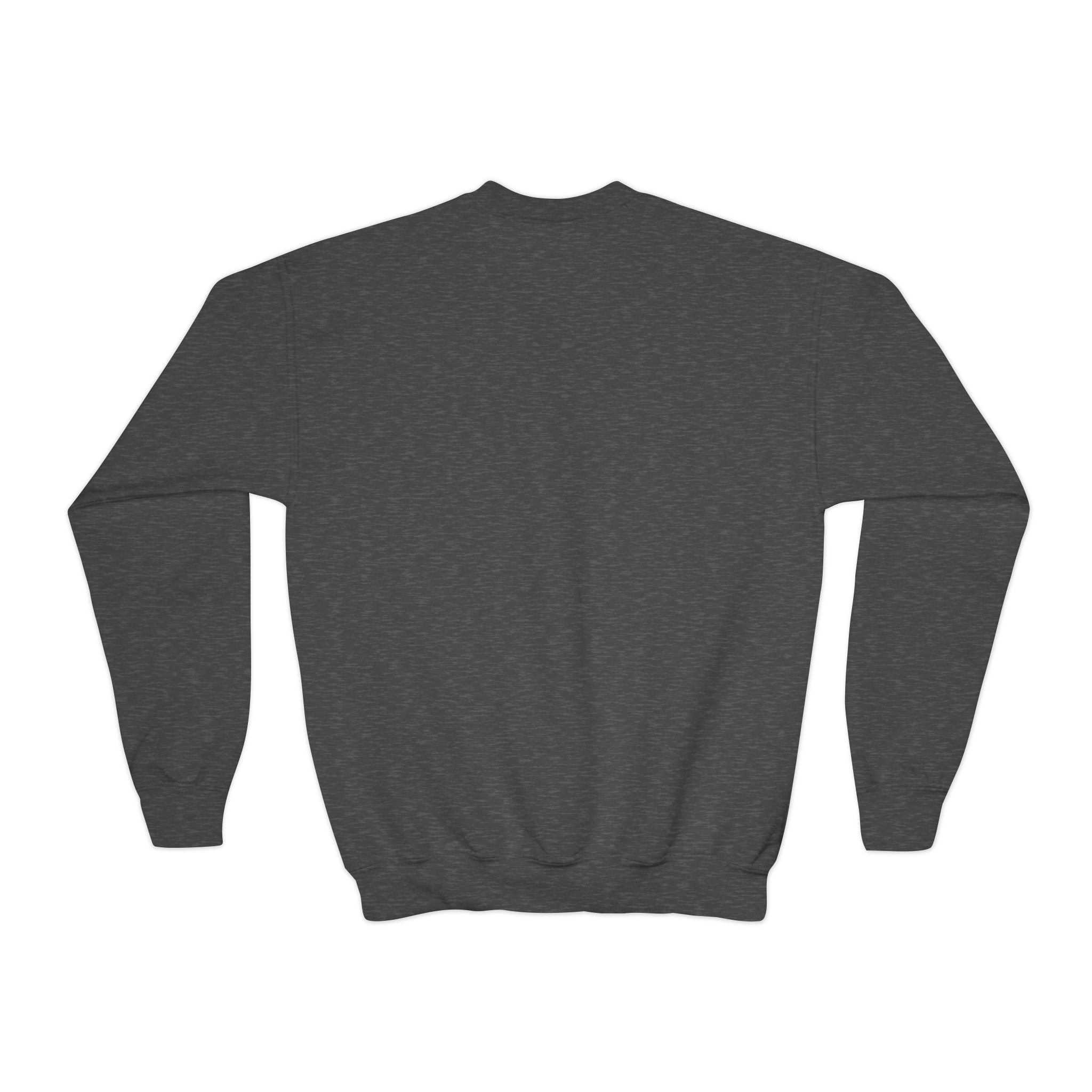 Youth Halloween Sweatshirt — "Trick or Treatasaurus" Dino Pumpkin Crewneck