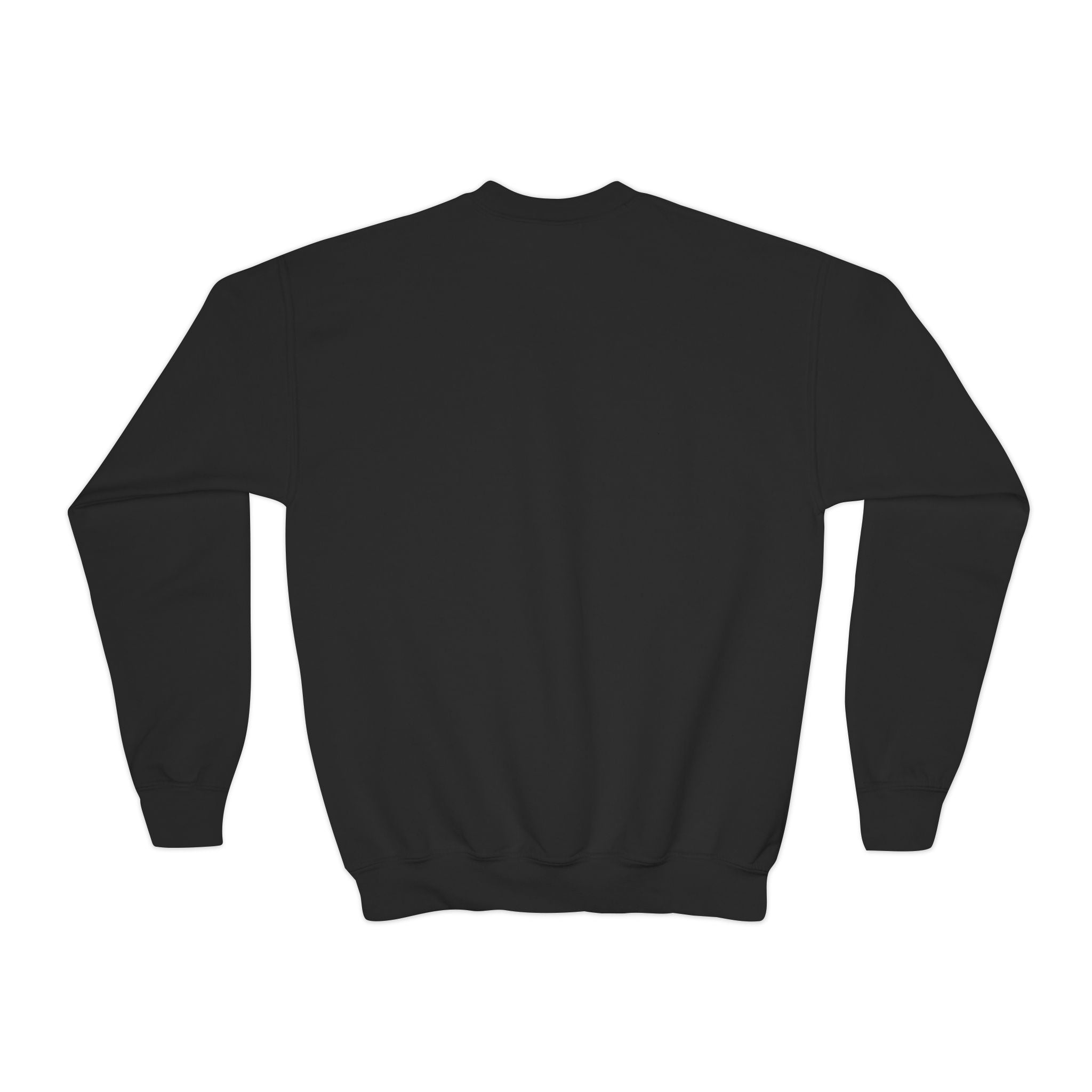 Youth Halloween Sweatshirt — "Trick or Treatasaurus" Dino Pumpkin Crewneck