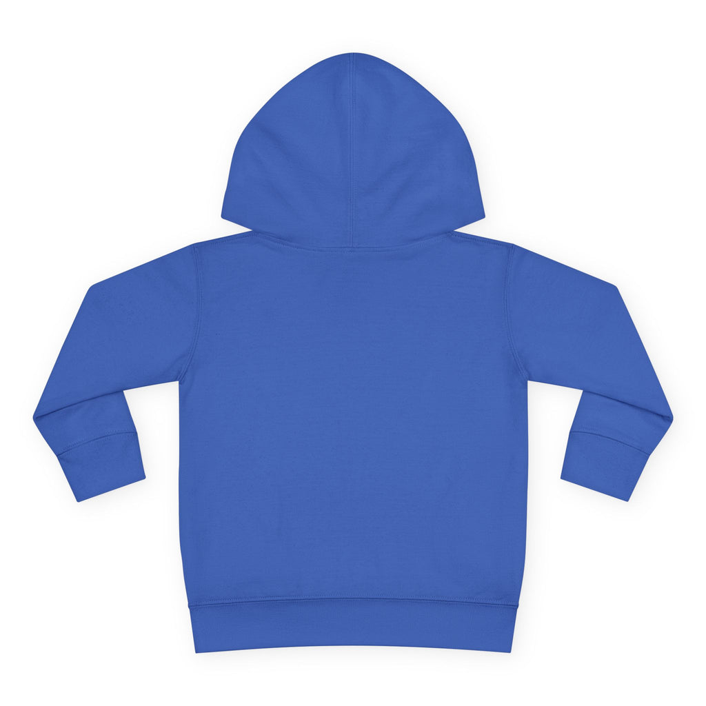 Toddler Hoodie — Colorful Peace Dinosaurs Graphic Pullover