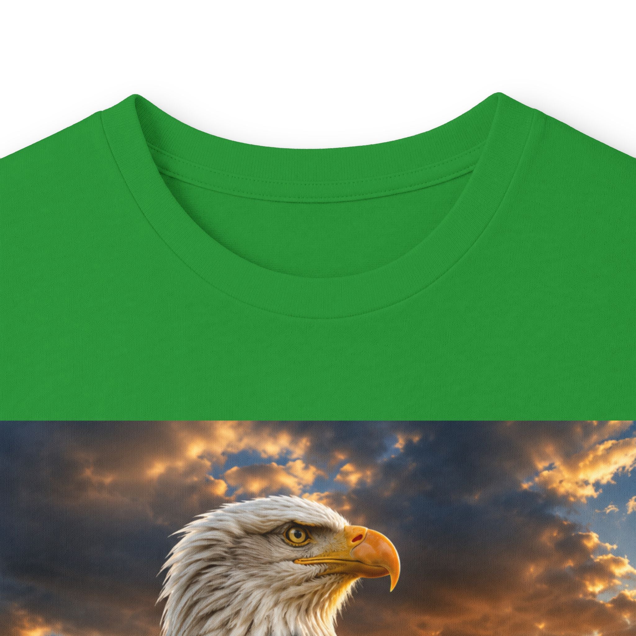 Eagle Sunset Long Sleeve Tee